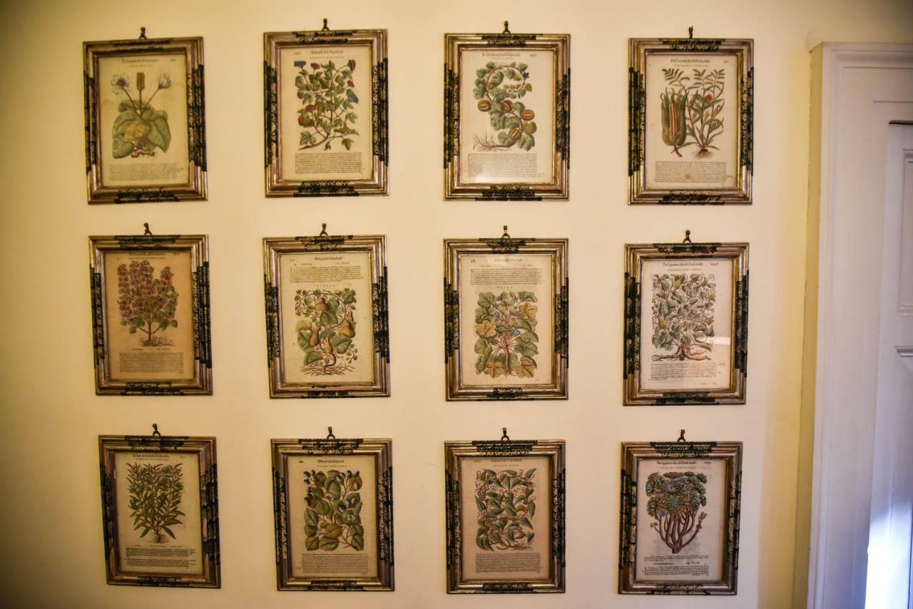 Stylish apartment in central Rome Centro Storico Esterno foto
